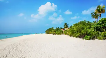 Cocoon Maldives