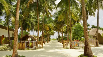 COCOON MALDIVES