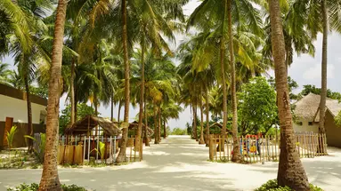 COCOON MALDIVES