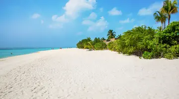 COCOON MALDIVES