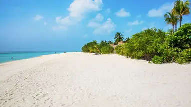 COCOON MALDIVES