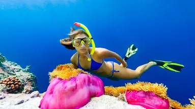 COCOON MALDIVES