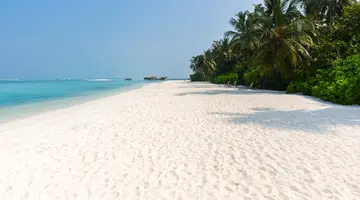 COCOON MALDIVES