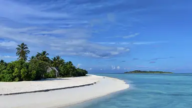 COCOON MALDIVES