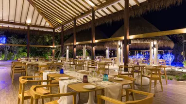 COCOON MALDIVES