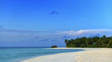 COCOON MALDIVES
