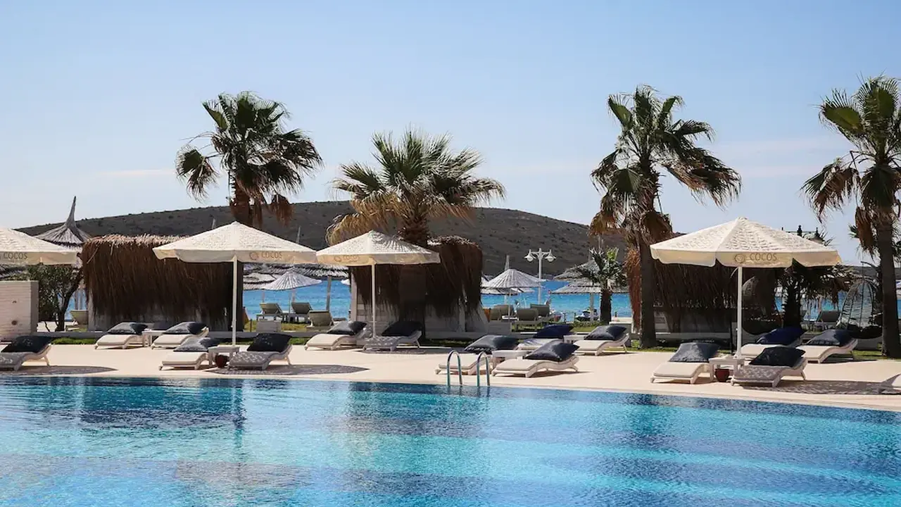 Cocos The Club Solto - Boutique Class
