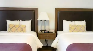 Collins Hotel