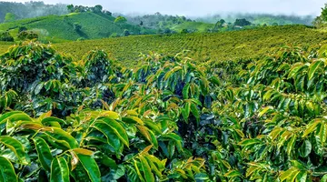 Colombia completa