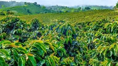 Colombia completa