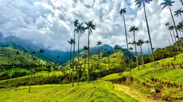 Colombia completa