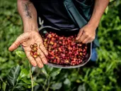 Colombia completa