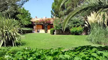 Colonna Du Golf