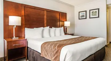 Comfort Inn By The Bay