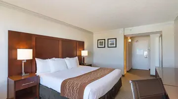 Comfort Inn By The Bay