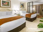 Comfort Suites Paradise Island