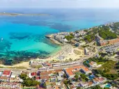 Comitas Isla del Aire