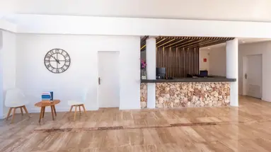 Comitas Isla del Aire