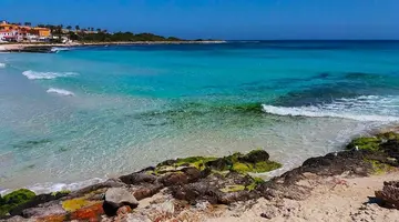 Comitas Isla del Aire