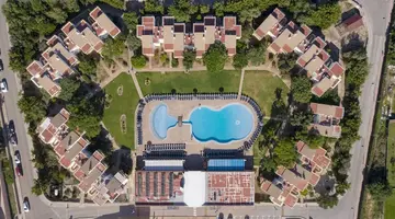 Comitas Isla del Aire