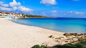 Comitas Isla del Aire