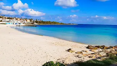 Comitas Isla del Aire