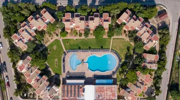 Comitas Isla del Aire