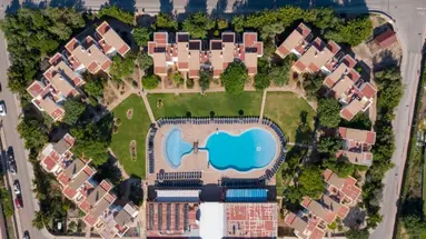 Comitas Isla del Aire