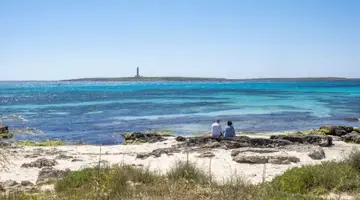 Comitas Isla del Aire