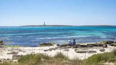 Comitas Isla del Aire