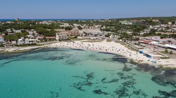 Comitas Isla del Aire