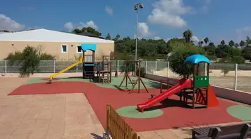Comitas Isla del Aire