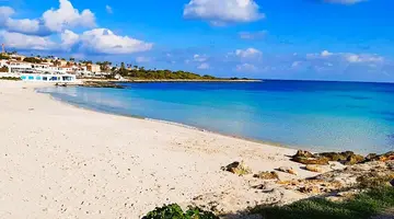 Comitas Isla del Aire