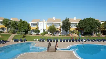 Comitas Isla del Aire