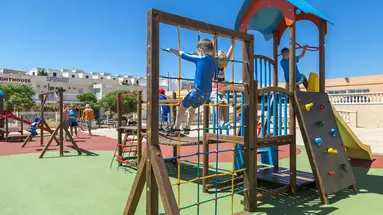 Comitas Isla del Aire