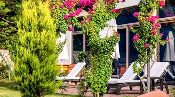 Commodore Elite Suites & Spa