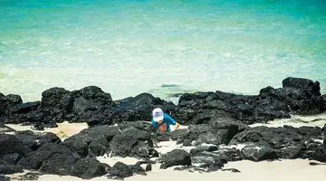 CONSTANCE BELLE MARE PLAGE HOTEL & VILLAS