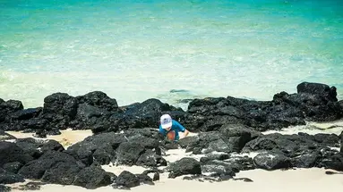 CONSTANCE BELLE MARE PLAGE HOTEL & VILLAS