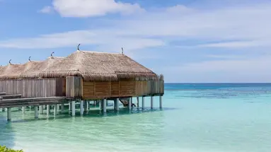 Constance Moofushi 5
