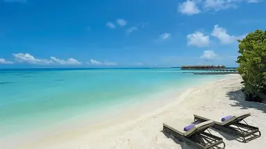 Constance Moofushi 5