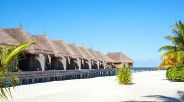 Constance Moofushi 5