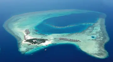 Constance Moofushi 5