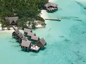 Constance Moofushi 5
