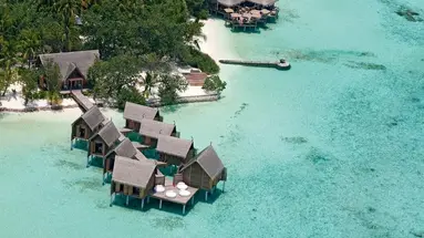 Constance Moofushi 5