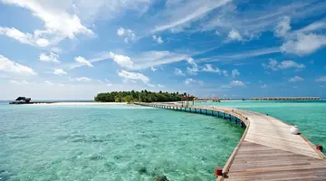 Constance Moofushi 5