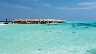 Constance Moofushi 5