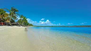Constance Prince Maurice