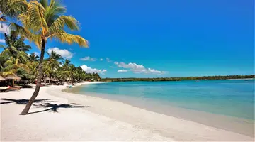 Constance Prince Maurice