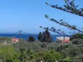 Contessa