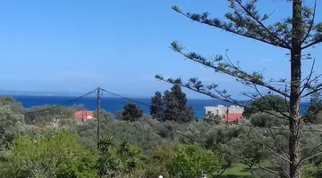Contessa